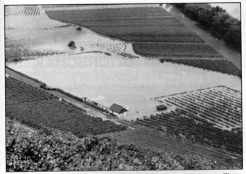 Hochwasser 1991